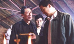 电视剧忠诚,揭秘公安战线上的生死较量