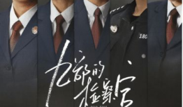 检察官电视剧,正义的守护者